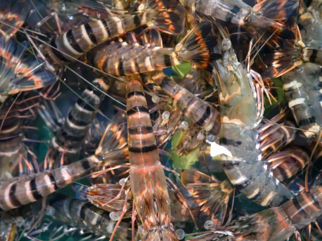 彰化田中海鮮餐廳:現撈海味×台菜熱炒 卡拉OK炒熱氣氛 彰化田中海鮮餐廳:現撈海味×台菜熱炒 卡拉OK炒熱氣氛