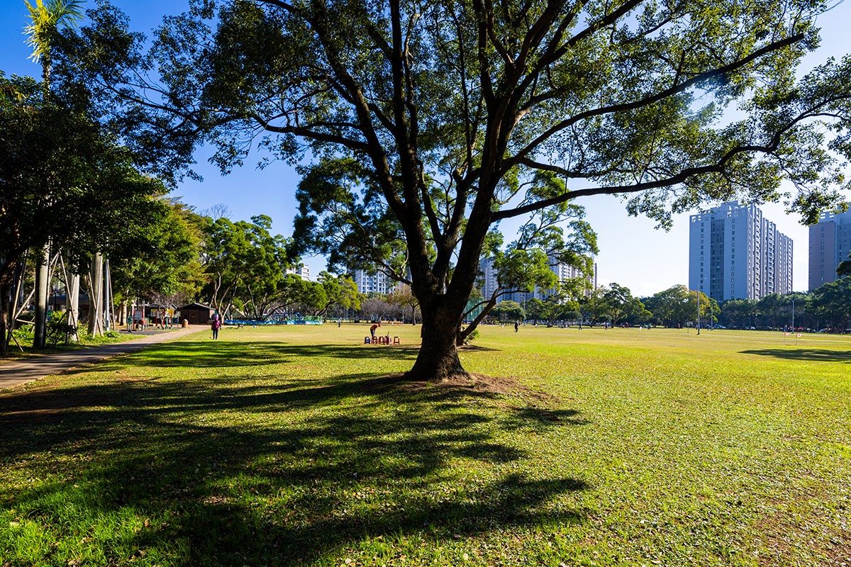富貴森林公園首排居住美學:新潤世界都心29層地標,自住客的私藏名單 富貴森林公園首排居住美學:新潤世界都心29層地標,自住客的私藏名單