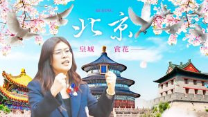 十大利多釋出鄭習會成果落地 兩岸交流重啟民生福祉最優先 十大利多釋出鄭習會成果落地 兩岸交流重啟民生福祉最優先