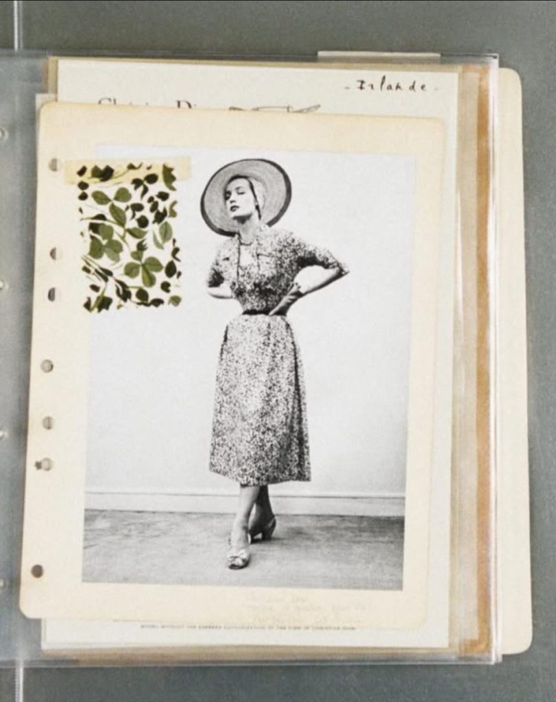 《轉角遇到幸運》Dior 三葉草 《轉角遇到幸運》Dior 三葉草