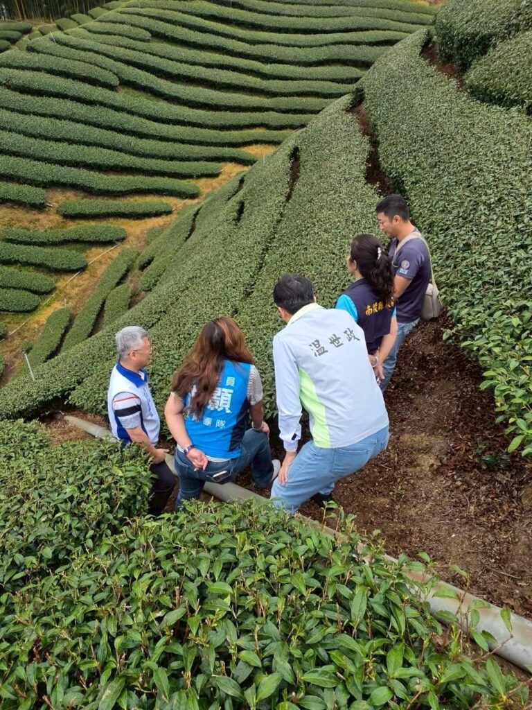 旱象重創南投茶園 温世政現勘籲中央從速、從簡助農損 旱象重創南投茶園 温世政現勘籲中央從速、從簡助農損