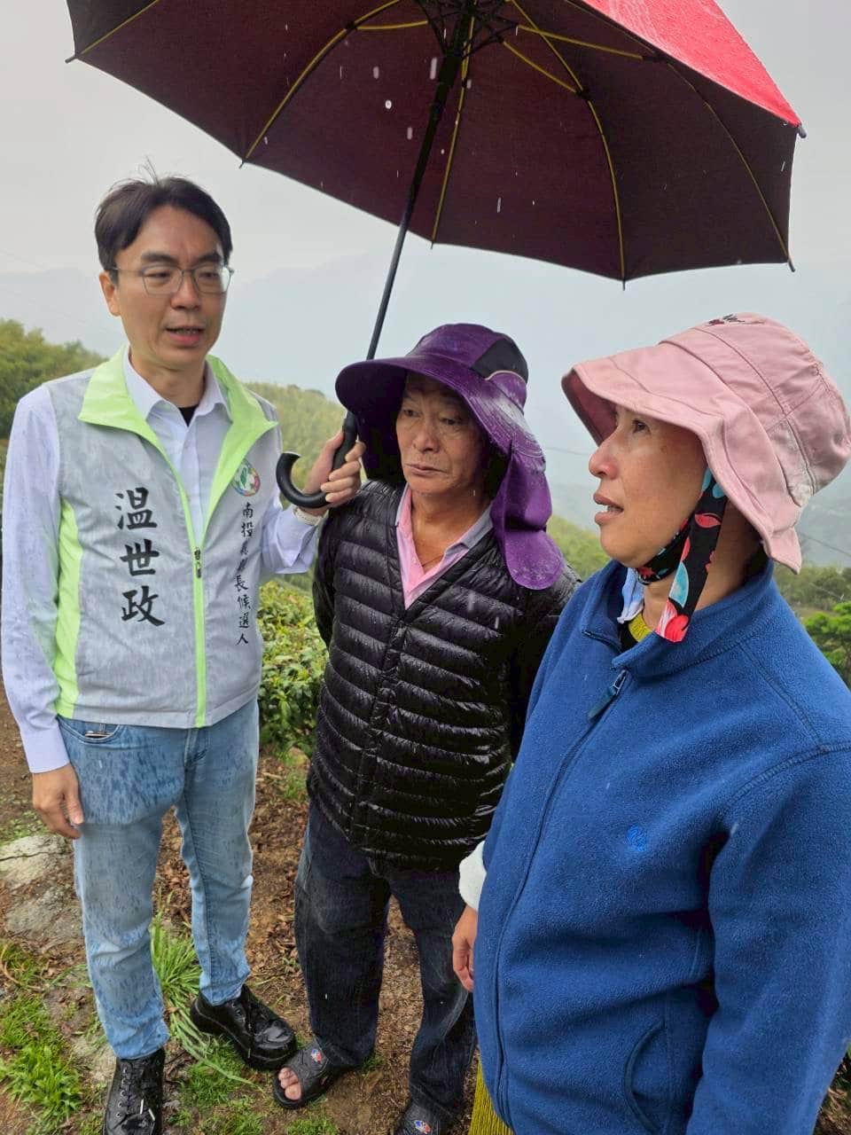 旱象重創南投茶園　温世政現勘籲中央從速、從簡助農損
