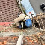 外牆除樹一定要用吊車嗎?施工方式怎麼選 外牆除樹一定要用吊車嗎?施工方式怎麼選