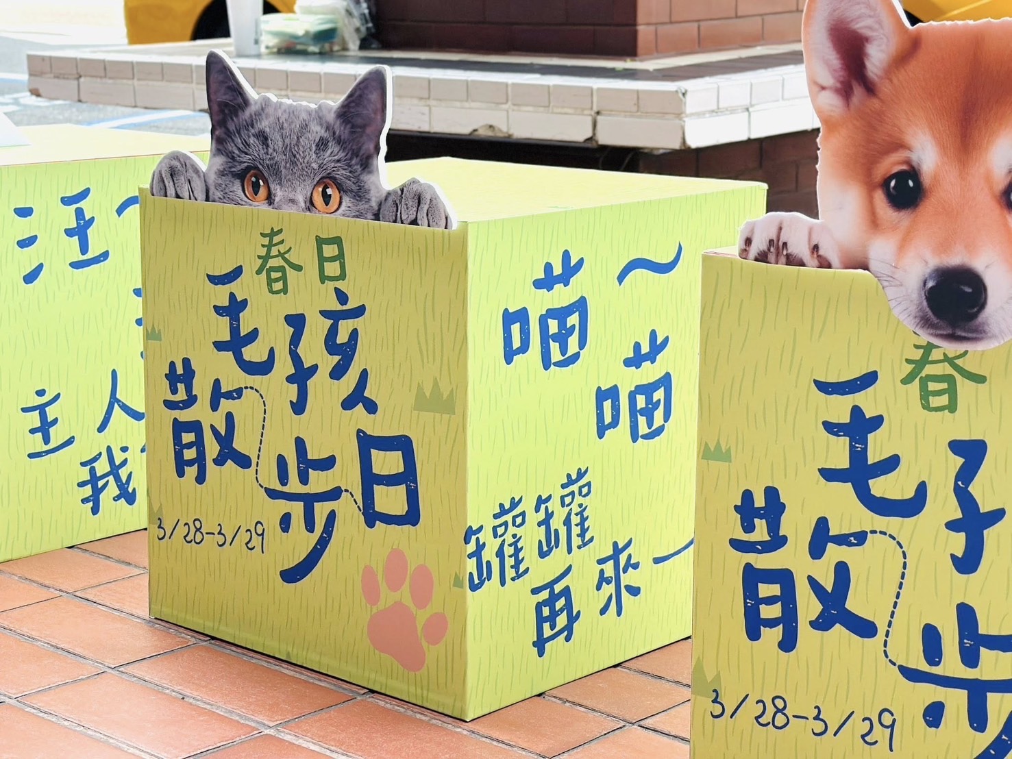 高雄大立推雙主題活動 串聯寵物友善與城市運動風潮 高雄大立推雙主題活動 串聯寵物友善與城市運動風潮