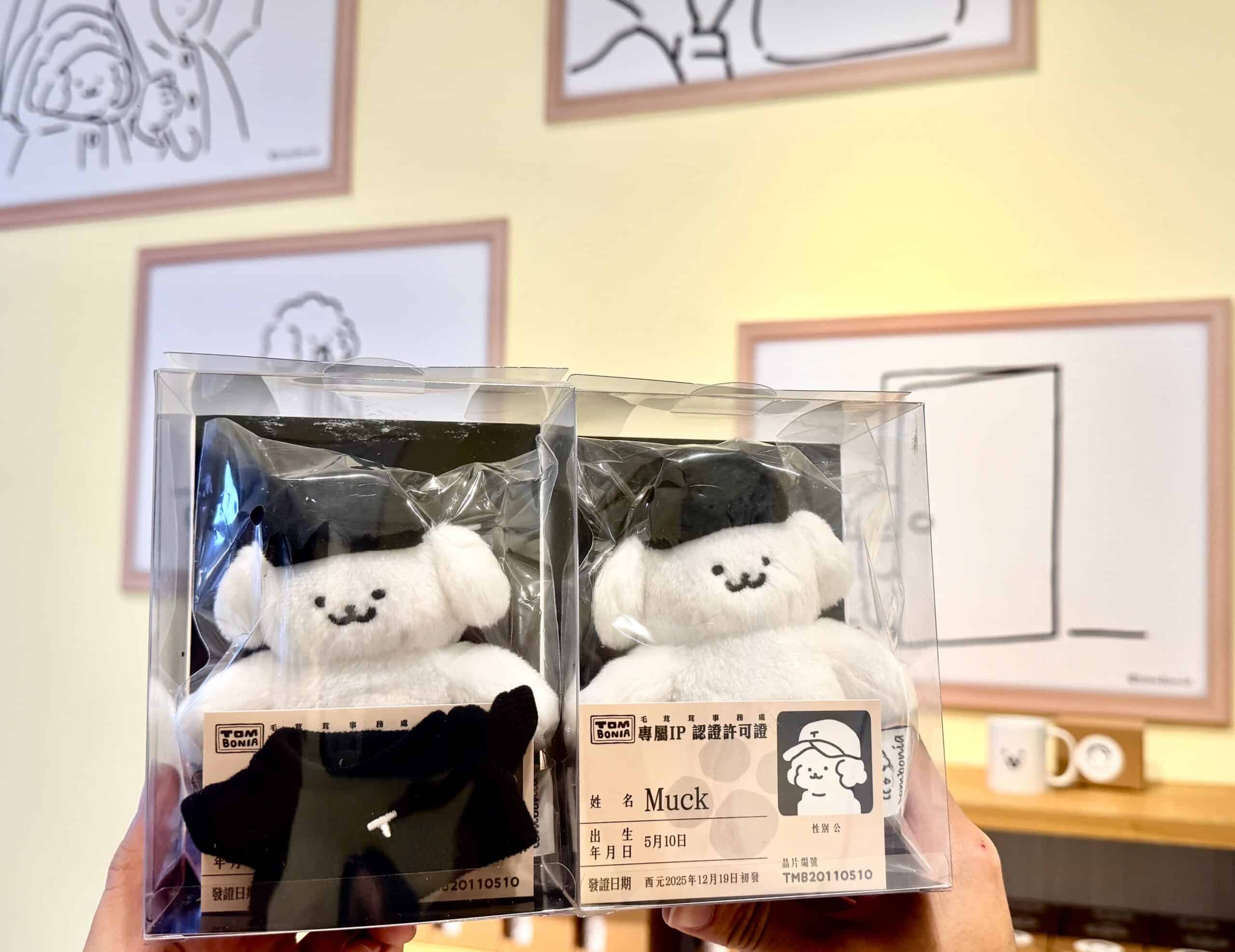 《Tombonia 遺失的拼圖》即日起至5/10日 新光三越高雄左營店登場 《Tombonia 遺失的拼圖》即日起至5/10日 新光三越高雄左營店登場