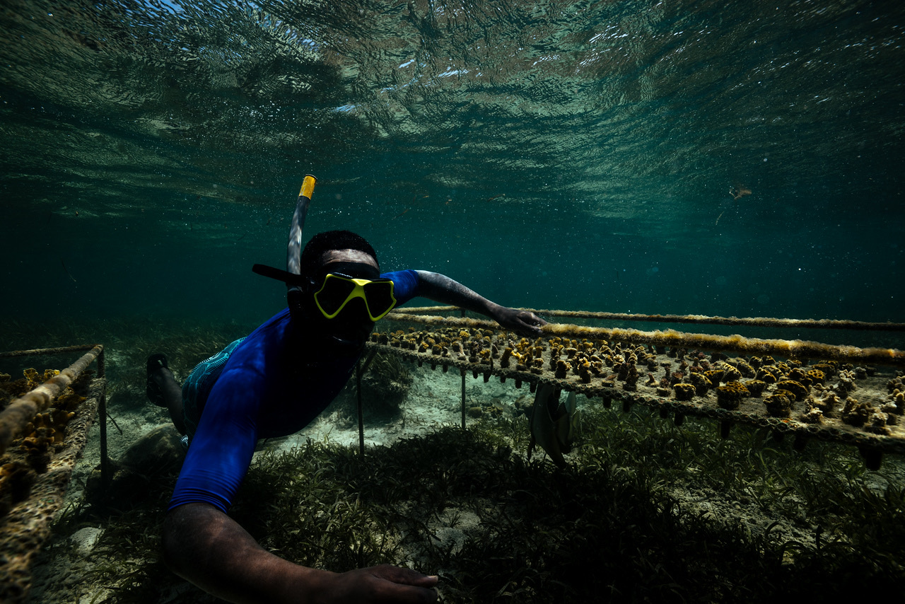 2026全球青年創新挑戰賽 你/妳的想法就是守護海洋的力量 2026全球青年創新挑戰賽 你/妳的想法就是守護海洋的力量