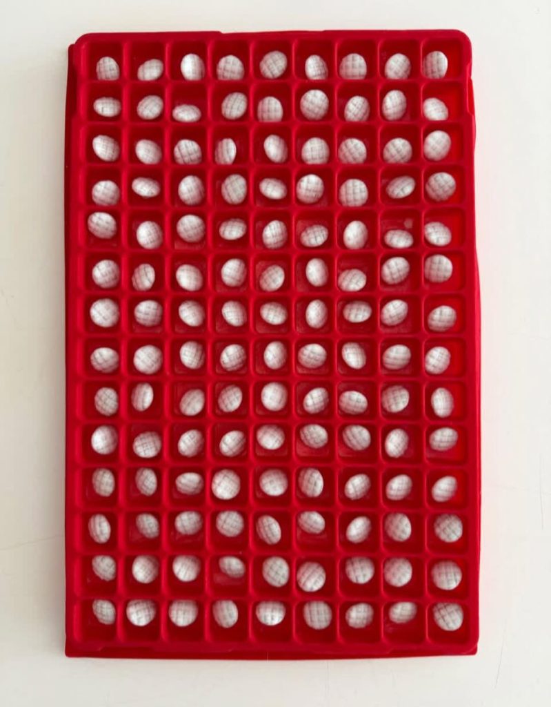 《暗黑浪漫風》 Valentino的古典與古怪 《暗黑浪漫風》 Valentino的古典與古怪