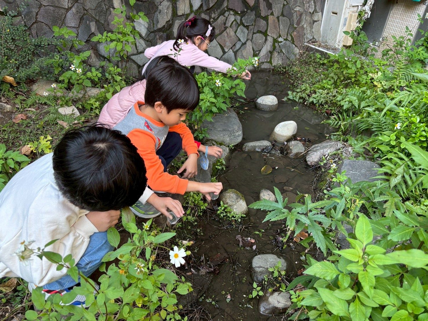 仲夏夜之夢 信義國小師生喜迎火金姑回家 仲夏夜之夢 信義國小師生喜迎火金姑回家