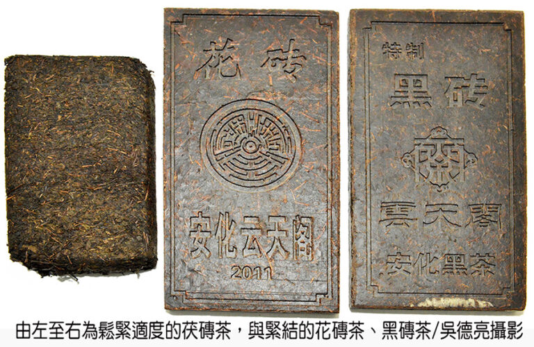 一柱擎天之安化千兩茶探秘