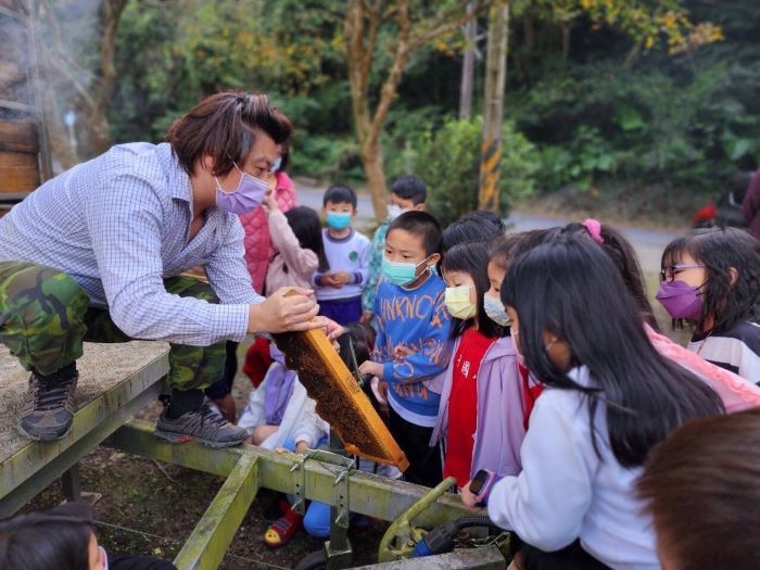 連假走春遊三峽 尋花嚐蜜揭開蜂箱祕密 連假走春遊三峽 尋花嚐蜜揭開蜂箱祕密