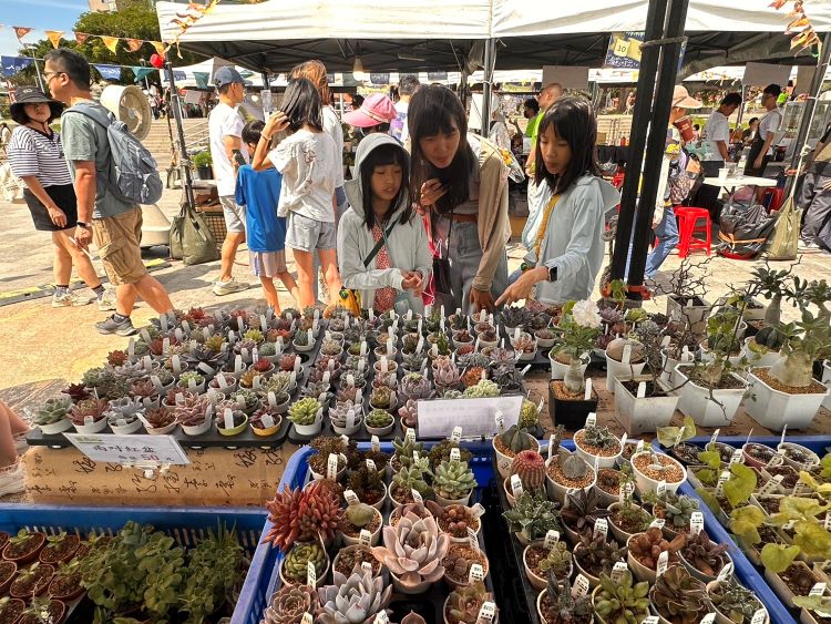 打造河岸療癒新風潮 淡水植愈蒔光節結合地酒與綠植 13 《圖說》「2026植愈蒔光節」集結多家特色植栽品牌,能讓心靈進入更深層的沉浸式放鬆,在居家小森林中延續這份自然的美好與平靜。〈農業局提供〉