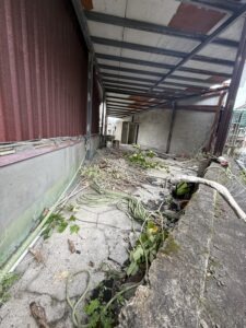 新北市永和區透天公寓外牆除樹工程施工