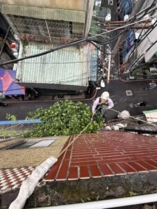 新北市永和區透天公寓外牆除樹工程施工