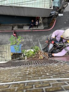 新北市永和區透天公寓外牆除樹工程施工