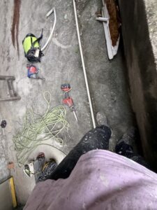 新北市永和區透天公寓外牆除樹工程施工