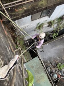 新北市永和區透天公寓外牆除樹工程施工
