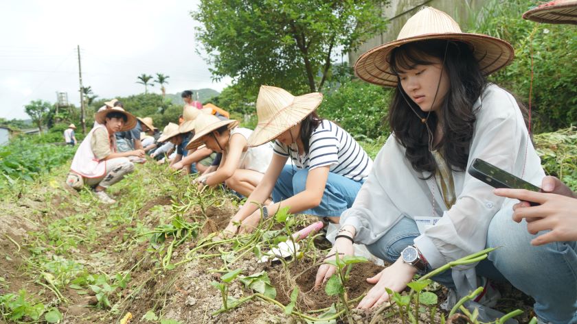 培育綠色青年 新北永續未來學院跨域實作探索永續 培育綠色青年 新北永續未來學院跨域實作探索永續
