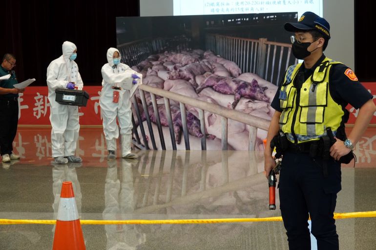 端午防疫不鬆懈 新北重大豬病兵推建構跨局處防護網 37 《圖說》派出所員警進行肉品市場移動管制。〈動保處提供〉