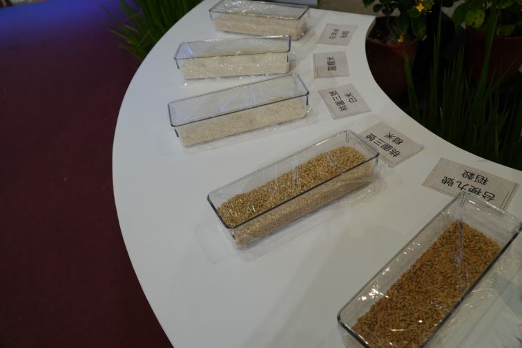 四季金山特展登場 週末免費DIY體驗農村風土 58 《圖說》金山在稻作從春耕到秋收,透過友善農法維護田間生態。〈農業局提供〉