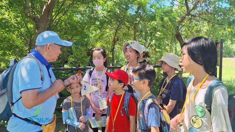 探索濕地生態與環境永續 新北暑期夏令營即起報名 50 《圖說》植物好好玩:濕地綠寶藏尋蹤。〈高灘處提供〉