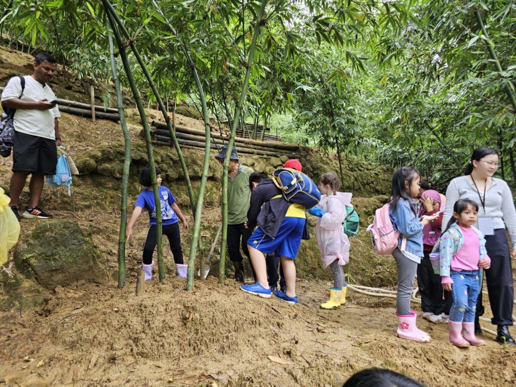 跨國銜轉生一日農夫體驗 採文山綠竹筍融入在地 12 394401