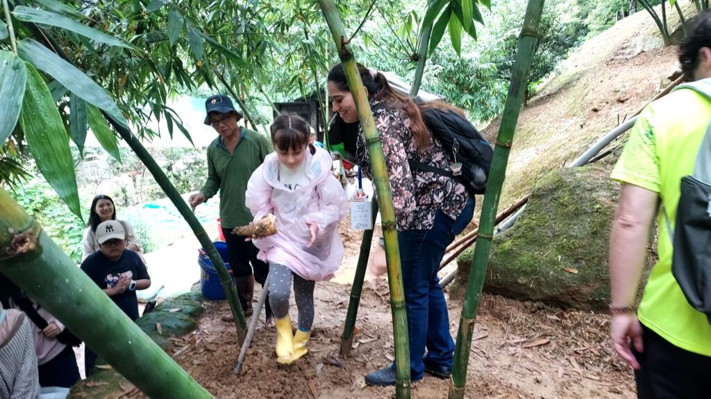 跨國銜轉生一日農夫體驗 採文山綠竹筍融入在地 13 731316