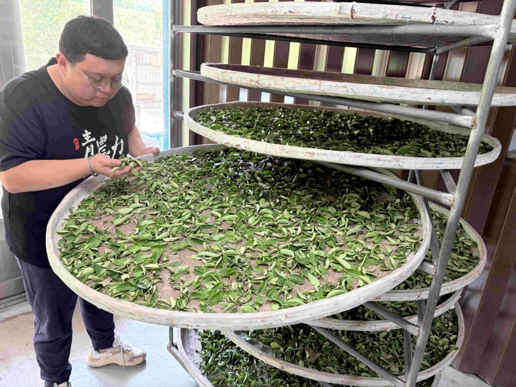 暑假永續農遊正夯 新北青農推低碳茶體驗護生態 暑假永續農遊正夯 新北青農推低碳茶體驗護生態