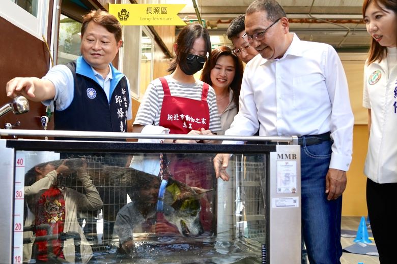 認養終身免費醫療照護 新北全國首座動物長照園區啟用 22 《圖說》長照犬使用水療機,市長侯友宜為犬隻加油鼓勵。〈動保處提供〉