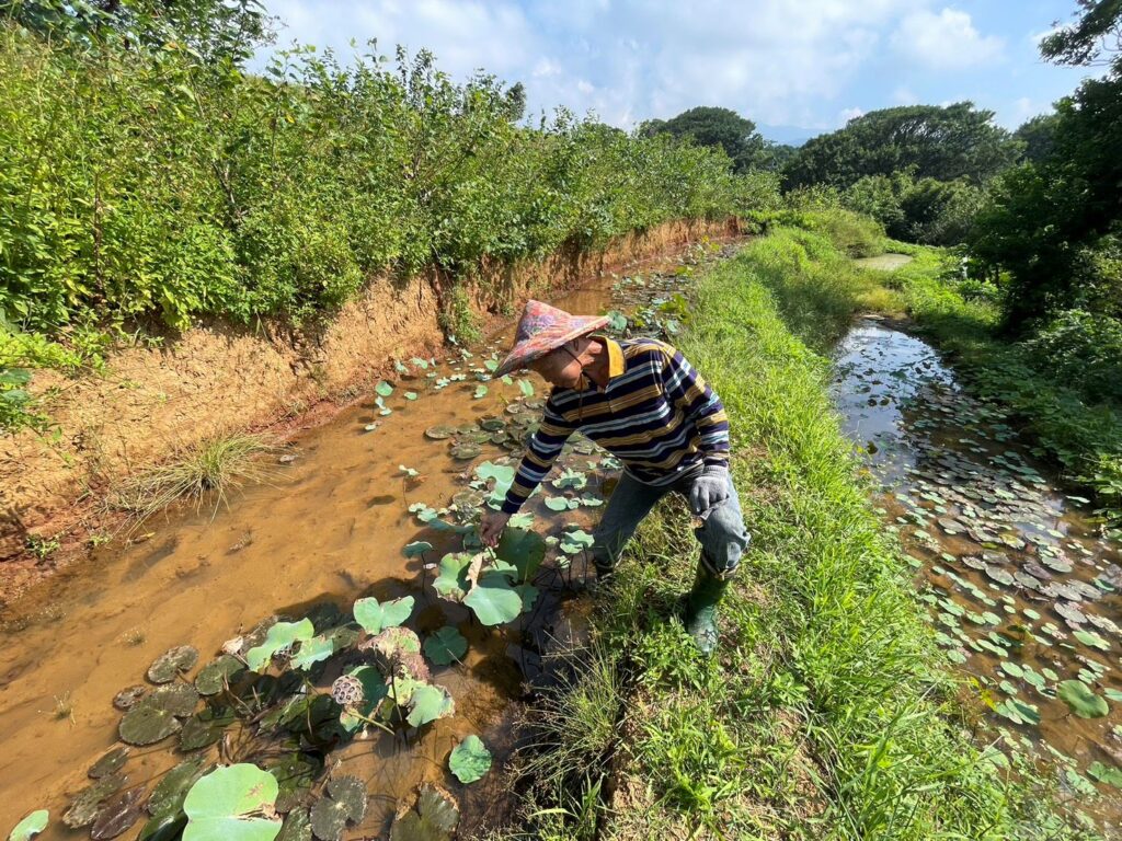115年新北生態服務給付開跑 獎勵金最高可領七萬元 18 %E7%94%9F%E6%85%8B%E7%B5%A6%E4%BB%98%E9%BC%93%E5%8B%B5%E6%B0%B4%E6%A2%AF%E7%94%B0%E5%BE%A9%E8%80%95%E9%87%91%E5%B1%B1