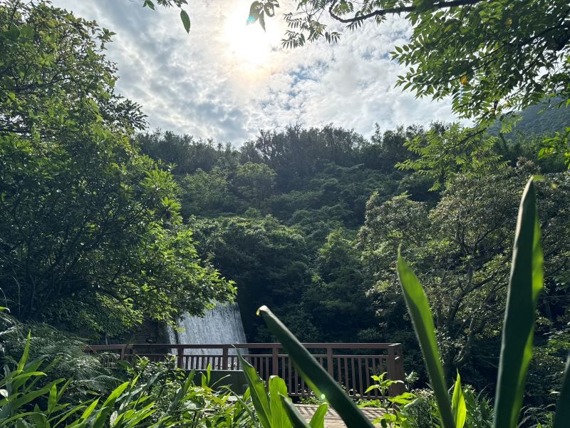 淘金、走讀礦山一次體驗 瑞芳三安社區兩條深度色遊程 22 《圖說》園內瀑布水勢磅礡,搭配巨石、蕨類與雲霧,是金瓜石獨特的山林療癒景觀。〈農業局提供〉