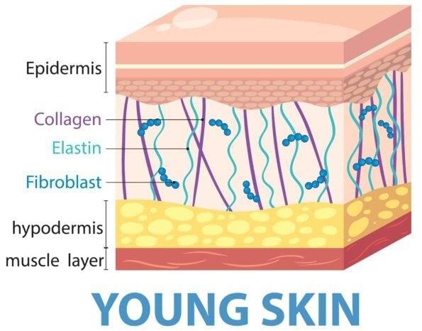 The Benefits of LED Red 633nm and Near-Infrared 830nm Light Therapy The Benefits of LED Red 633nm and Near-Infrared 830nm Light Therapy