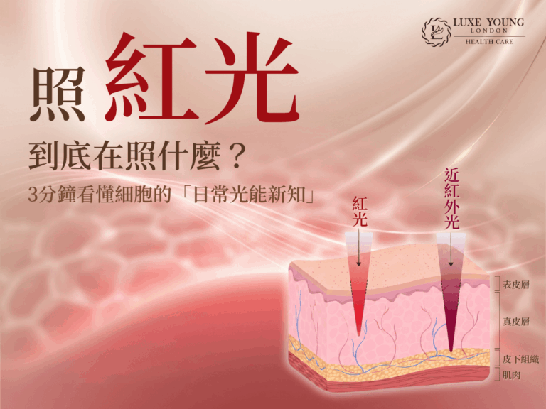 照紅光 到底在照什麼？ | 光能新知 | LUXE YOUNG Health Care