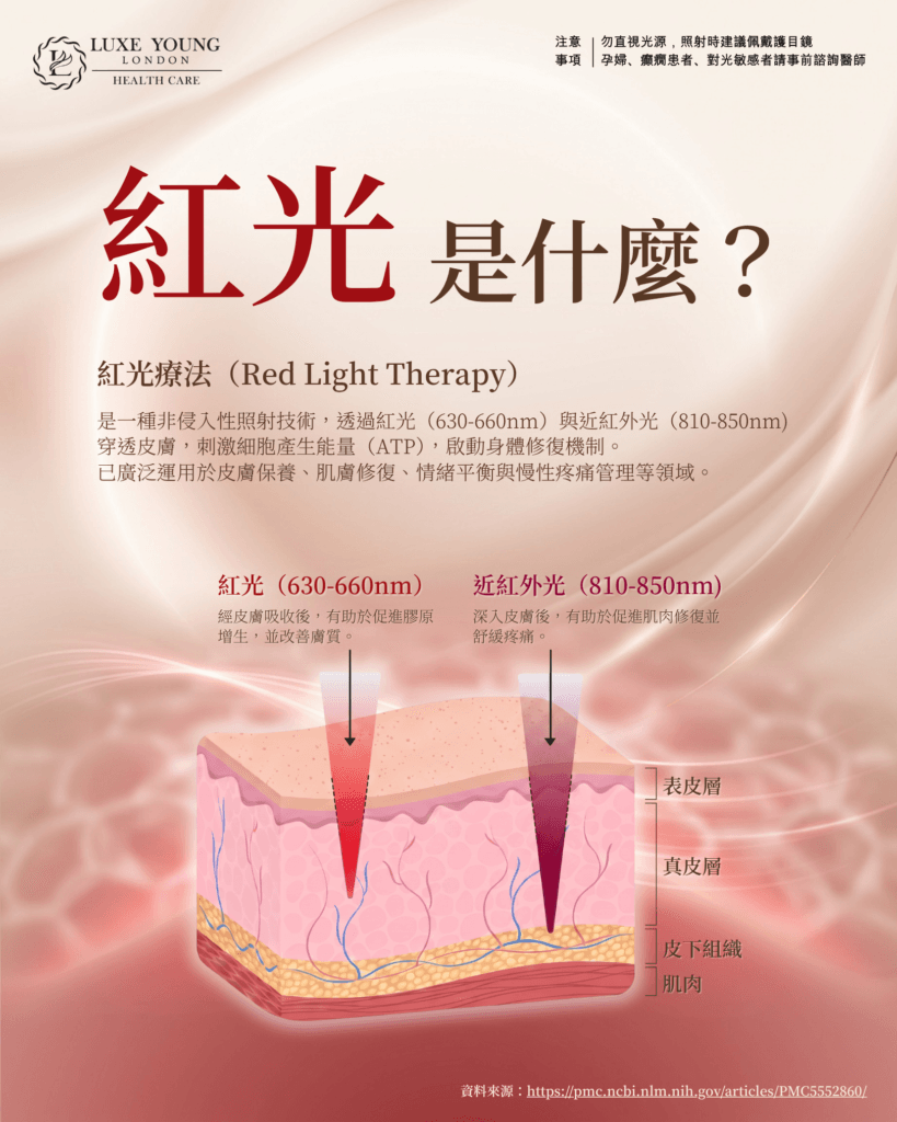 照紅光 到底在照什麼? | 光能新知 | LUXE YOUNG Health Care 照紅光 到底在照什麼? | 光能新知 | LUXE YOUNG Health Care