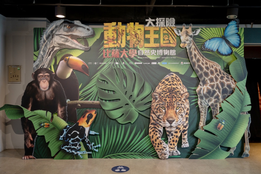 世界級自然史特展來台首展 《動物王國大探險展》科教館登場 17 20260710001