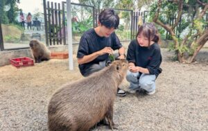 避暑旅遊首選  溪頭鹿谷「鹿芝谷萌寵生態＋雞王冷藏肉火鍋」雙享攻略