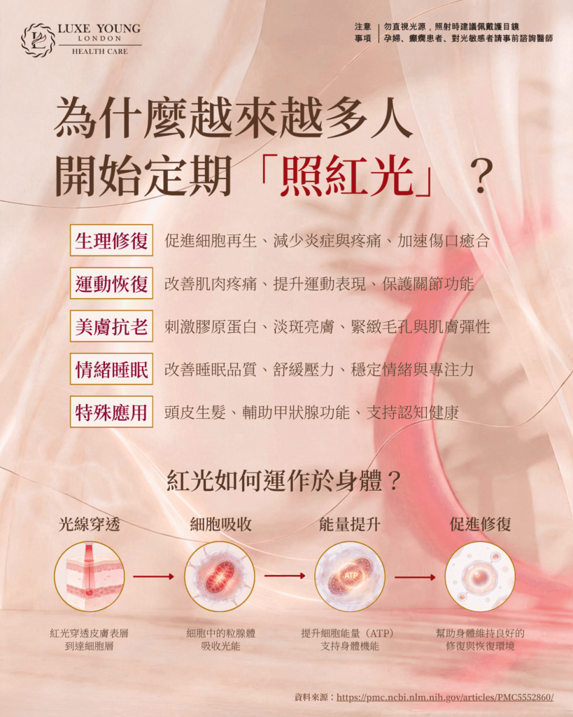 照紅光 到底在照什麼? | 光能新知 | LUXE YOUNG Health Care 照紅光 到底在照什麼? | 光能新知 | LUXE YOUNG Health Care