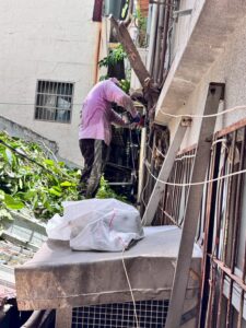 台北市萬華區透天公寓外牆除樹工程施工