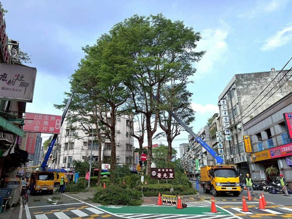 迎戰強颱巴威 北市公園處示範路樹修剪 兼顧防颱安全與綠蔭維護 迎戰強颱巴威 北市公園處示範路樹修剪 兼顧防颱安全與綠蔭維護