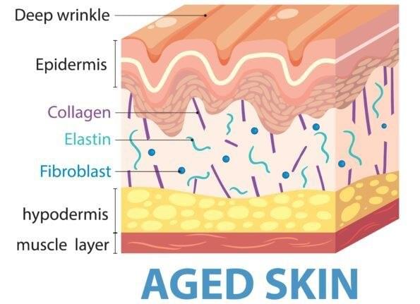 The Benefits of LED Red 633nm and Near-Infrared 830nm Light Therapy The Benefits of LED Red 633nm and Near-Infrared 830nm Light Therapy