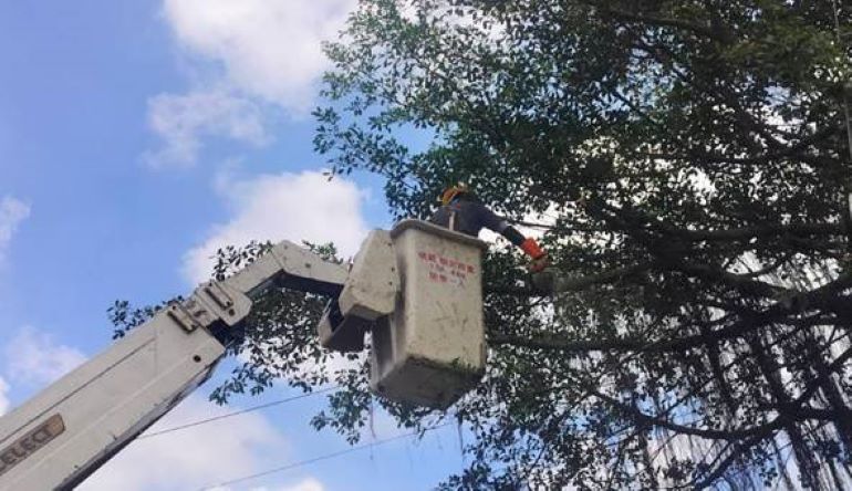 迎戰巴威來襲 台電基隆區處啟動應變機制確保用電安全 迎戰巴威來襲 台電基隆區處啟動應變機制確保用電安全
