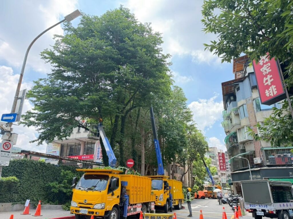 白海豚颱風來襲 北市公園處加強樹木、路燈防災 白海豚颱風來襲 北市公園處加強樹木、路燈防災