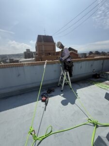 桃園市桃園區社區外牆除樹工程施工