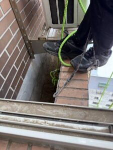 桃園市桃園區社區外牆除樹工程施工