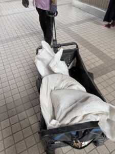 桃園市桃園區社區外牆除樹工程施工