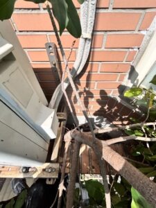 桃園市桃園區社區外牆除樹工程施工