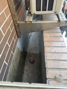 桃園市桃園區社區外牆除樹工程施工
