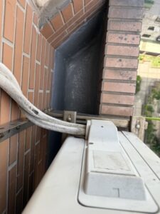 桃園市桃園區社區外牆除樹工程施工