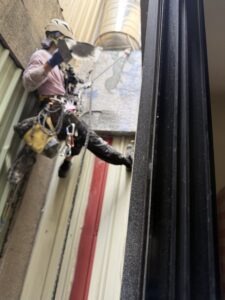 新竹市東區透天外牆除樹工程施工
