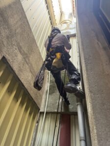 新竹市東區透天外牆除樹工程施工