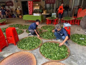 平溪雙寶登場 冠軍山藥細緻無纖維 跨區師徒傳承包種茶香